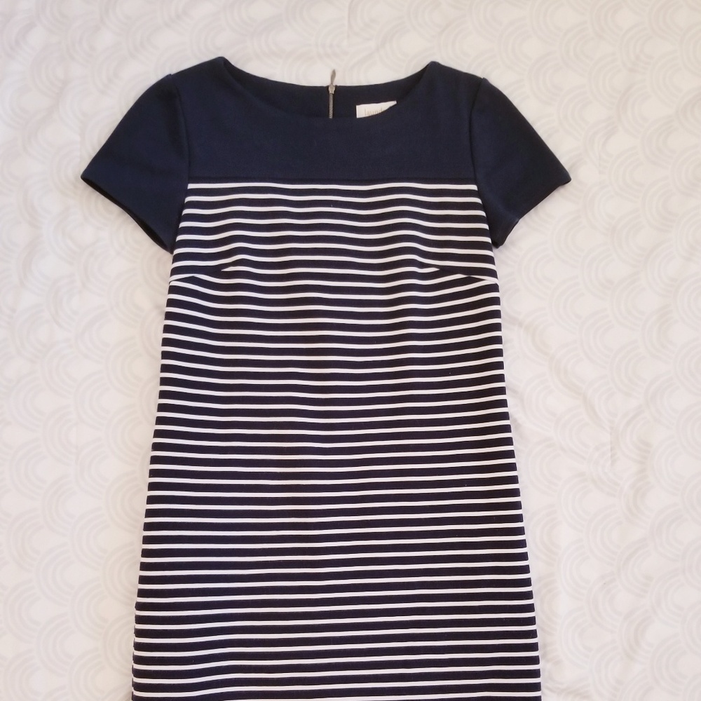 Laundry by Shelli Segal navy/white Shift Dress